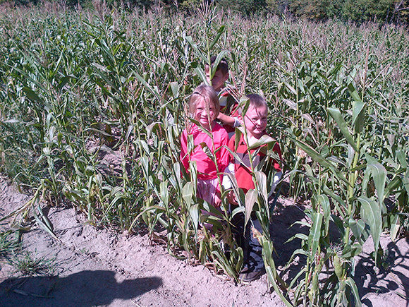 The Kids in the Corn