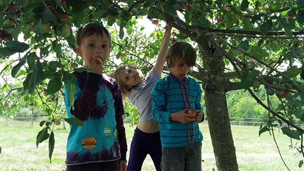 The Kids Under an Apple Tree